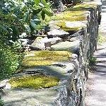 moss and wall on Pond