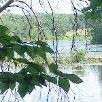Upper Leach Pond
